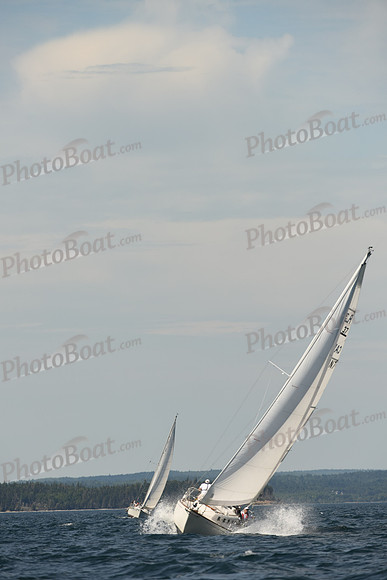 2016 Chester Race Week A_0818