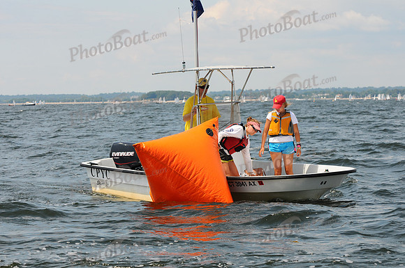 2011 Opti Area C 433