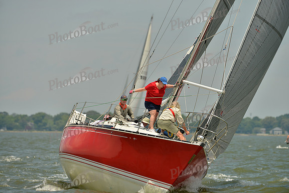2016 Southern Bay Race Week F_1273
