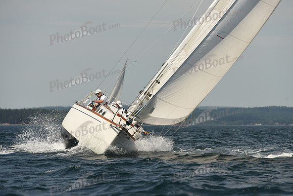 2016 Chester Race Week A_0828