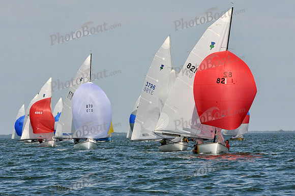 2012 Thistle MidWinters B 1448