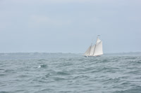 2022 Newport Bermuda_0714