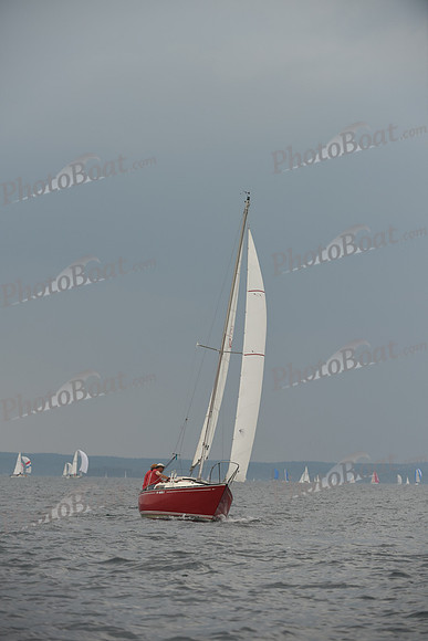 2016 Chester Race Week D_0617