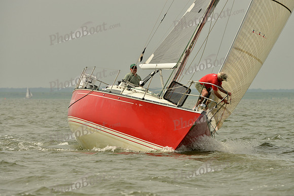 2016 Southern Bay Race Week A_0249