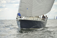 2016 Vineyard Race A_0885