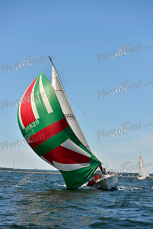 2017 Vineyard Race A_0177