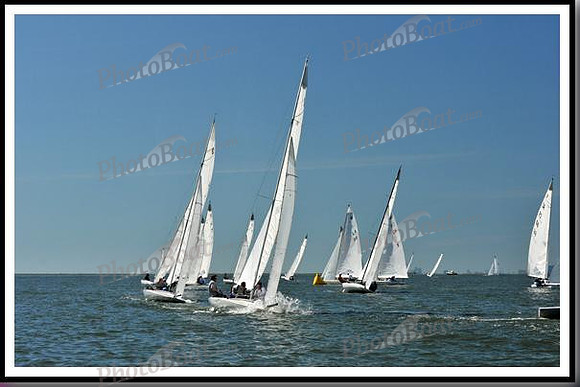 proof_2010_EScows_D 202