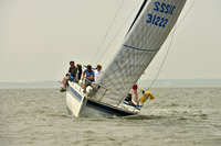 2016 Southern Bay Race Week A_0477