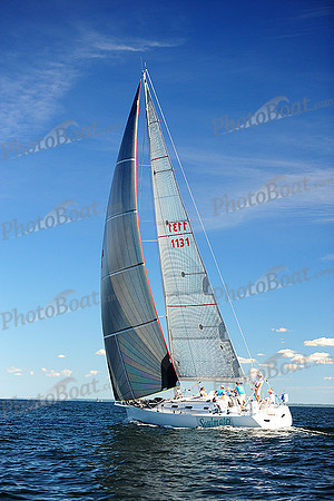 2014 Vineyard Race A 1950