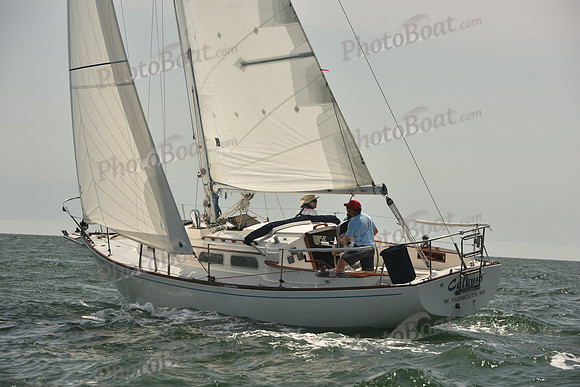 2018 Vineyard Cup A_0471