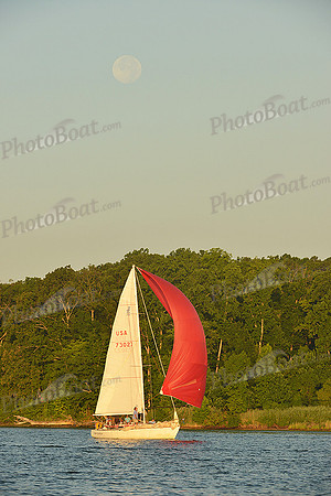 2015 Gov Cup C 469