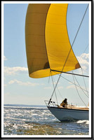 proof_2010_Vineyard_Race_1288