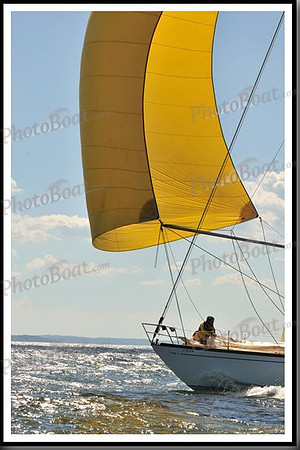 proof_2010_Vineyard_Race_1288