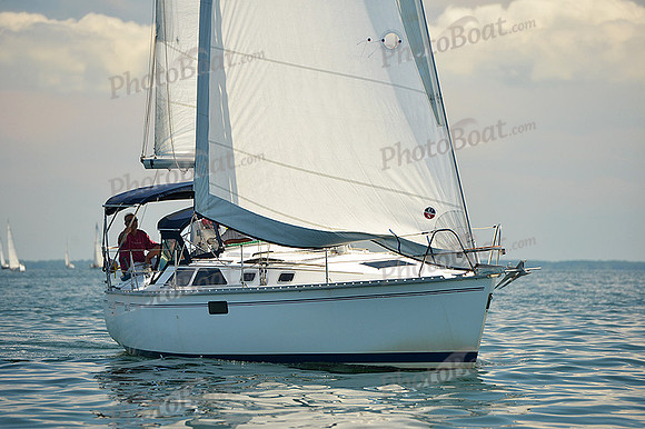 2015 Cape Charles Cup C 492