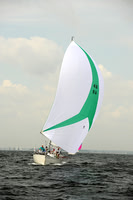 2013 Vineyard Race A 265