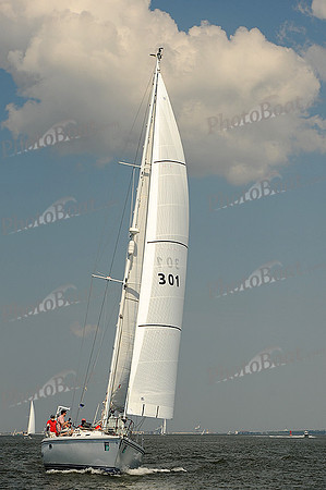 2014 Charleston Race Week A 238