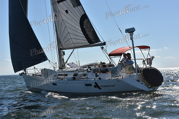 2020 Vineyard Race A_2177