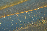 2015 Anclote Key_0034-1