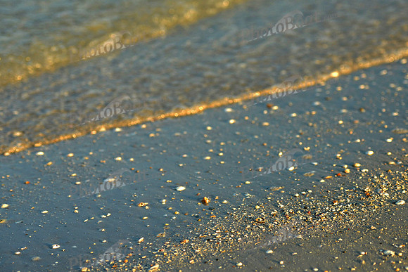 2015 Anclote Key_0034-1