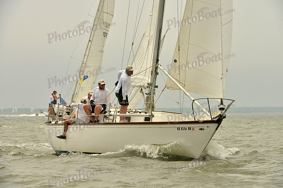 2016 Southern Bay Race Week A_1159