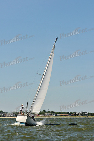 2014 Southern Bay Race Week D 282