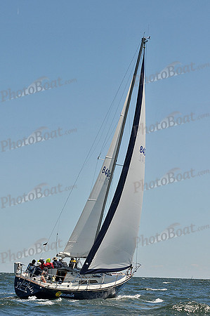 2014 Southern Bay Race Week C 905