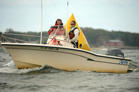 2013 HPDO C 867