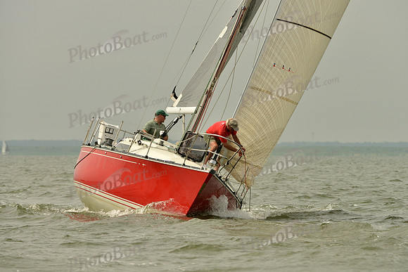 2016 Southern Bay Race Week A_0247