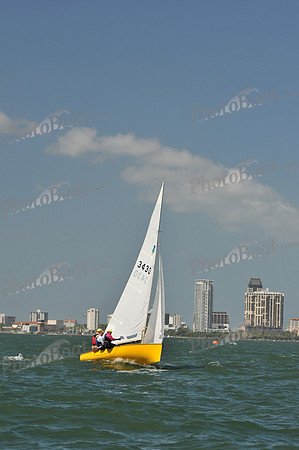 2012 Thistle Midwinters C 490