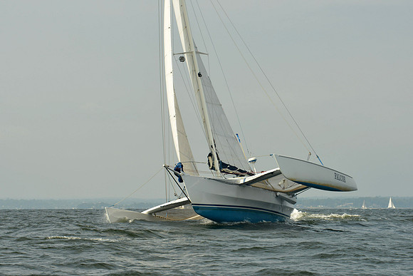 2015 Vineyard Race B 169