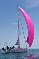 2019 Figawi_1569