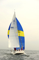 2013 Vineyard Race A 242