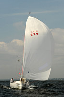 2013 Vineyard Race A 806