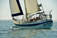 2017 St Petersburg Habana Race_1395