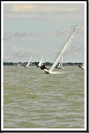 proof_2010_EScows_B 788