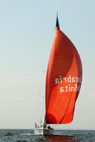 2013 Vineyard Race A 1797