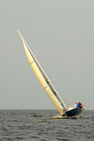 2013 Vineyard Race B 551