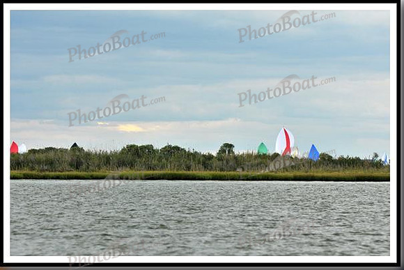 proof_2010_EScows_C 116