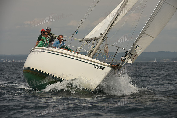 2016 Chester Race Week C_0757