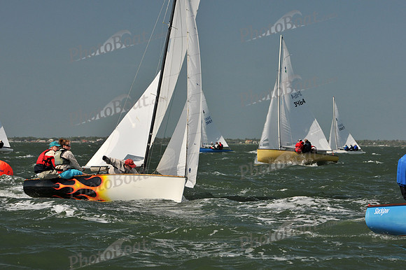 2012 Thistle Midwinters B 582