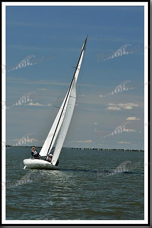 proof_2010_EScows_D 880