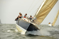 2015 Vineyard Race A 227