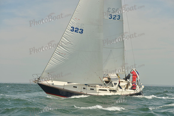 2018 Figawi_0950