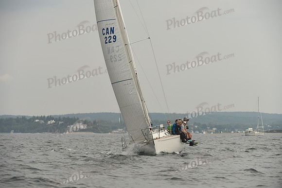 2016 Chester Race Week D_0480