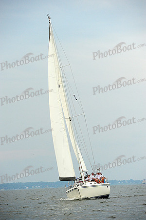 2014 Gov Cup A 2203