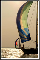 proof_2010 Gov Cup B 336
