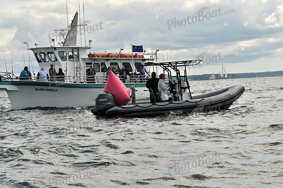 2010 IRC LIS 518
