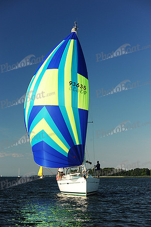 2015 Gov Cup D 194