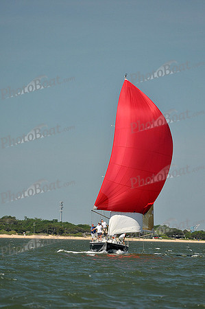 2013 Southern Bay Race Week D 370