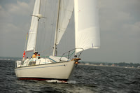 2013 Vineyard Race A 421